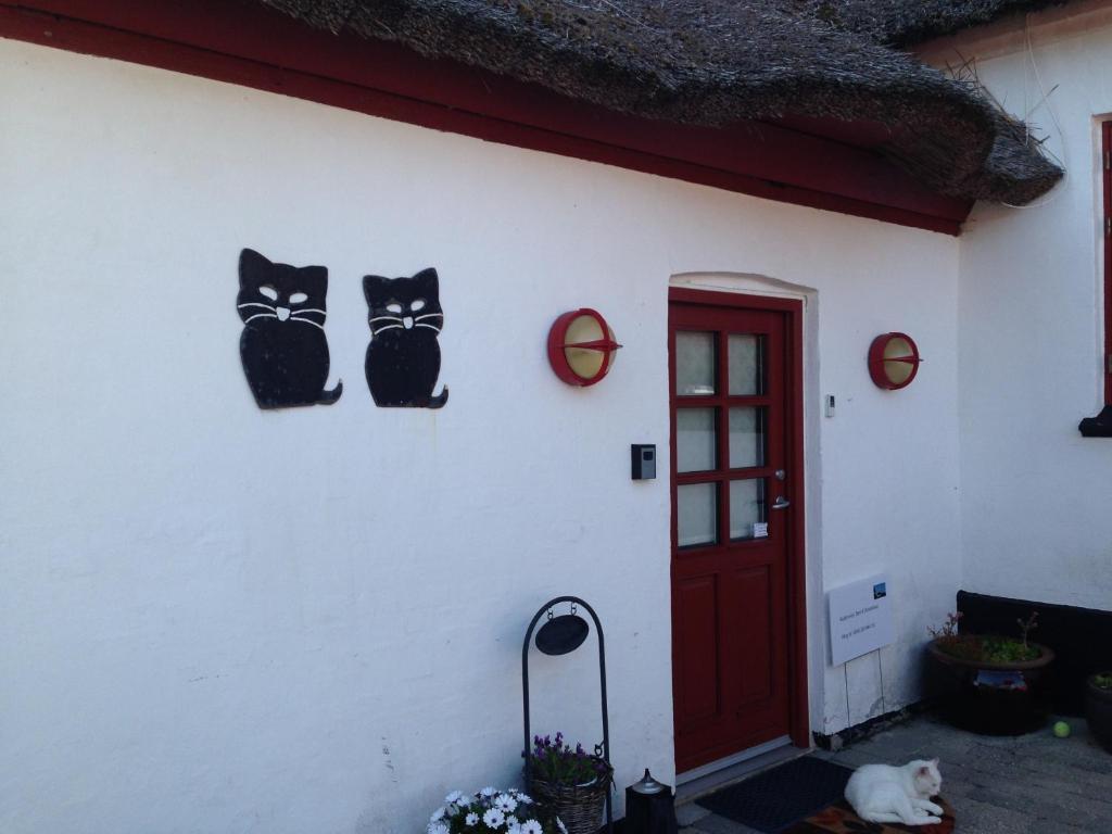 Bulbrovejs Bed & Breakfast Havdrup Exterior photo